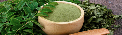 moringa (1)